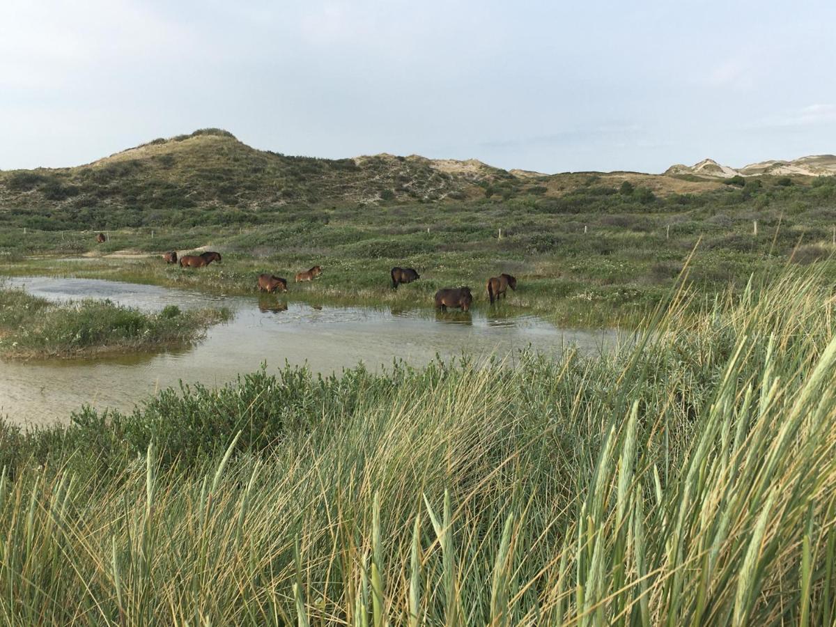 De Duinlopers - Studio Appt Bries - Strand, Duinen En Nabij Cultuur Steden Кастрикюм Екстер'єр фото