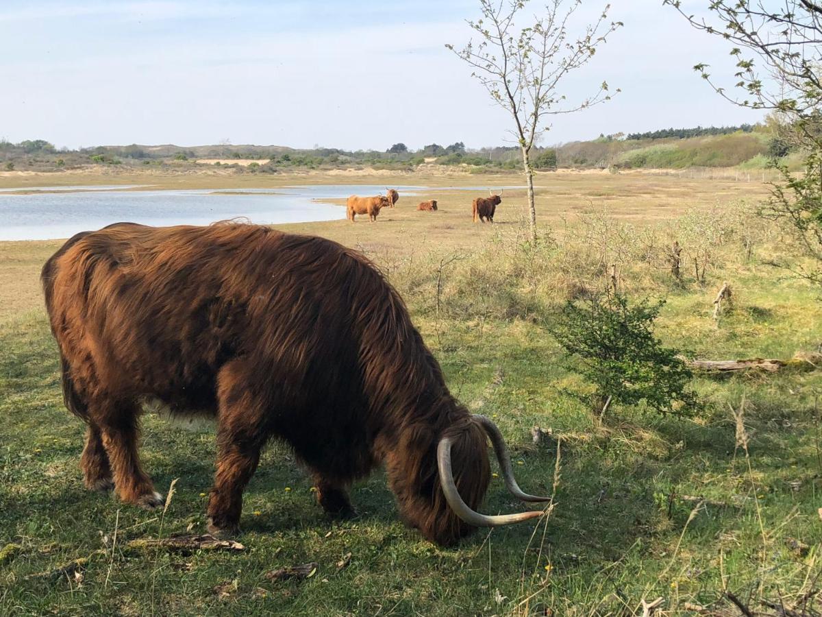 De Duinlopers - Studio Appt Bries - Strand, Duinen En Nabij Cultuur Steden Кастрикюм Екстер'єр фото