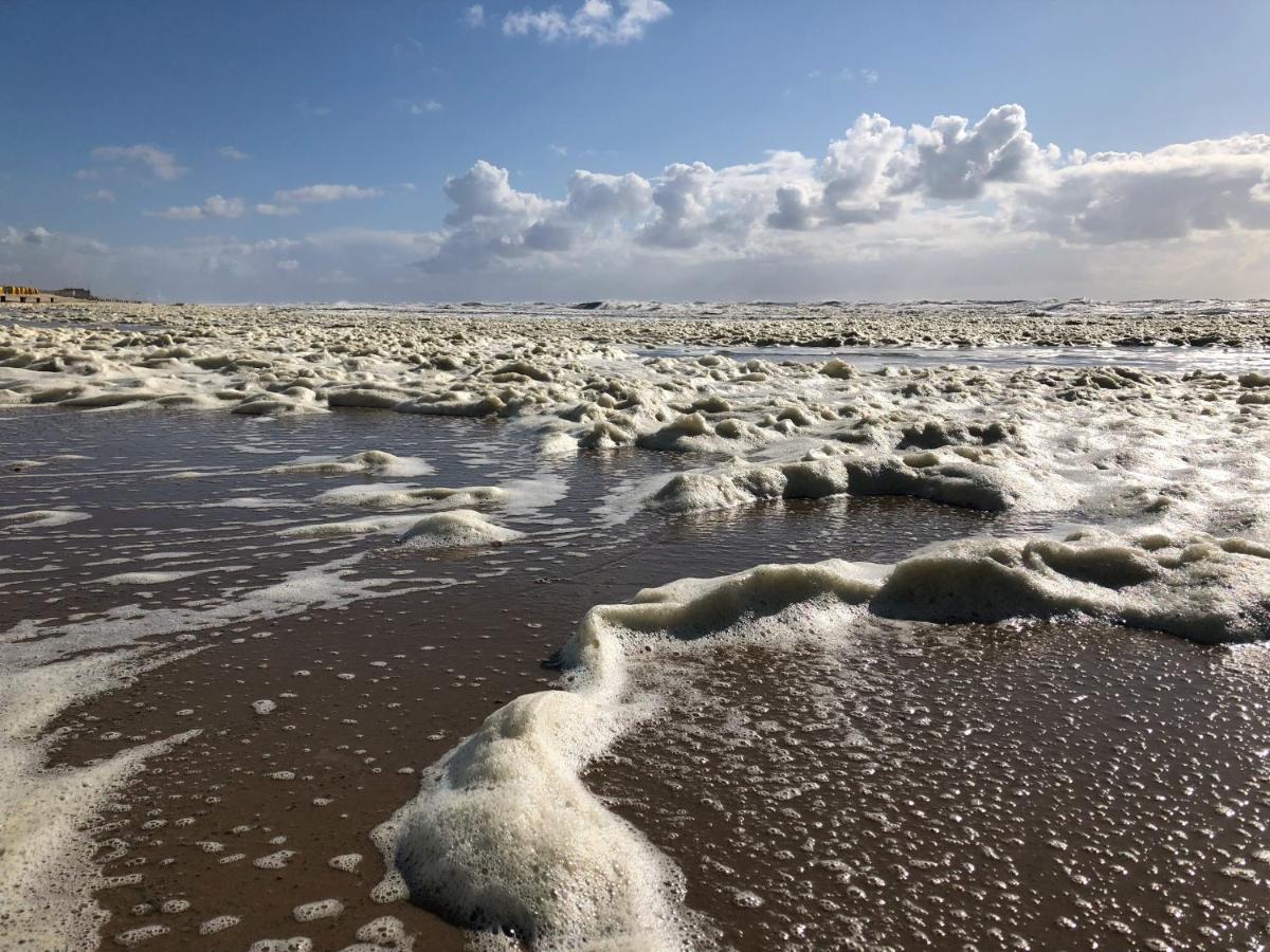 De Duinlopers - Studio Appt Bries - Strand, Duinen En Nabij Cultuur Steden Кастрикюм Екстер'єр фото